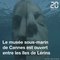 Cannes: Le musée sous-marin est ouvert entre les îles de Lérins