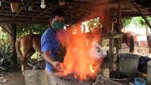 Pueblo turístico de Cuba vuelve a sembrar la tierra ante ausencia de viajeros