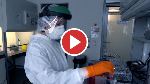 La variante sudafricana podría reducir la protección de la vacuna de Pfizer