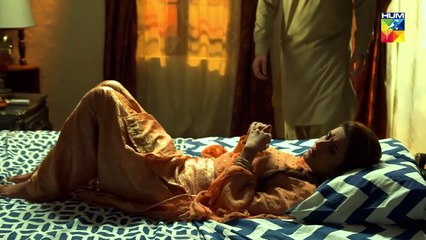 Alif Allah Aur Insaan Episode 24 HUM TV Drama