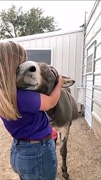 Cet âne est un âne heureux... oh oui