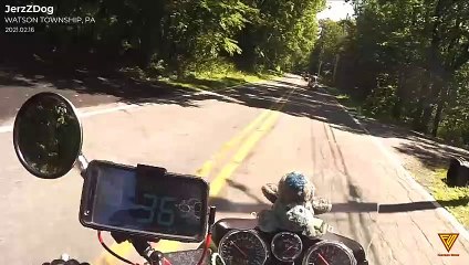 Deer Miss 2021.02.16 — WATSON TOWNSHIP, PA