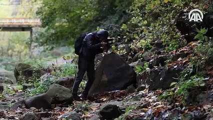 Kabaceviz Şelaleleri'nde sonbahar renklerinin görsel şöleni