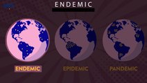 Do You Know The Difference Between Endemic, Epidemic & Pandemic