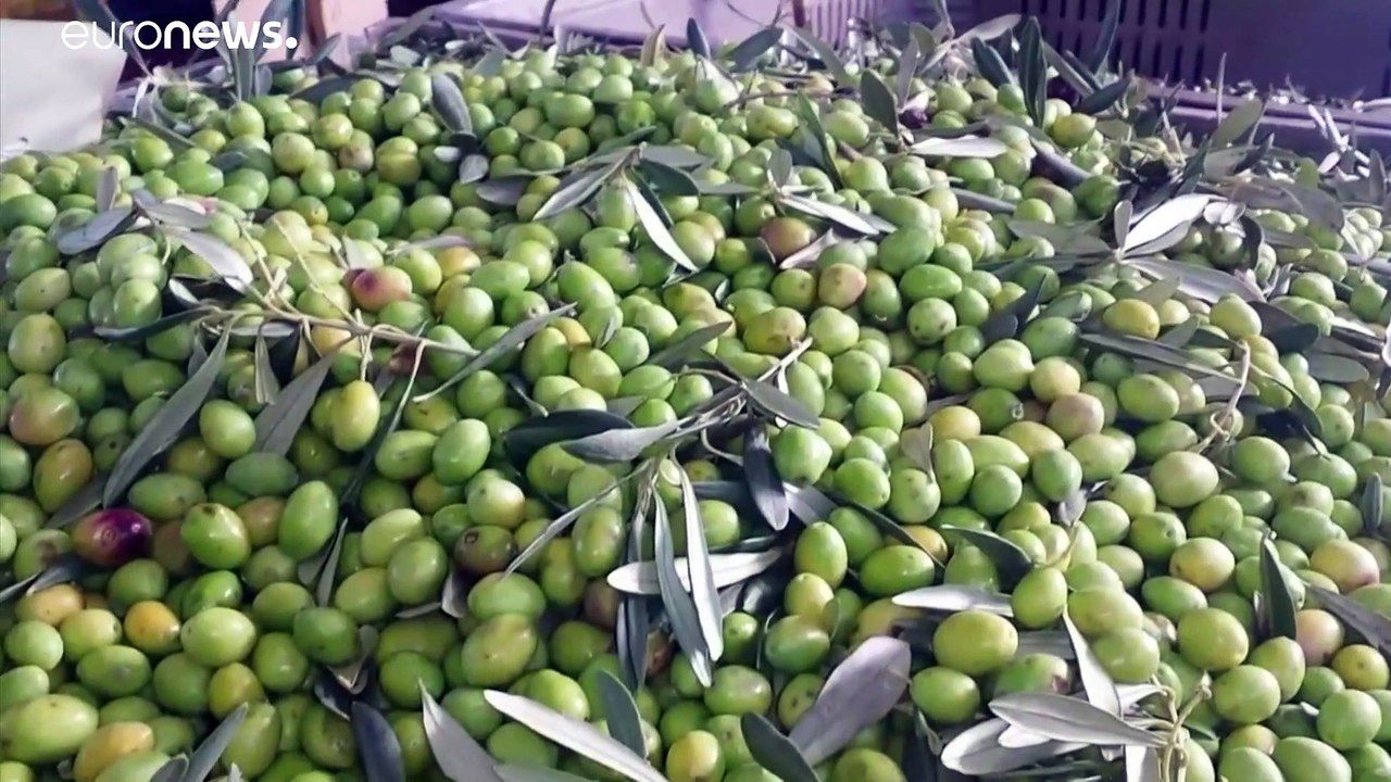 Spanischer olivenölmarkt leidet unter us- zöllen