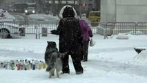 Tempestade de neve mortal atinge o nordeste dos EUA