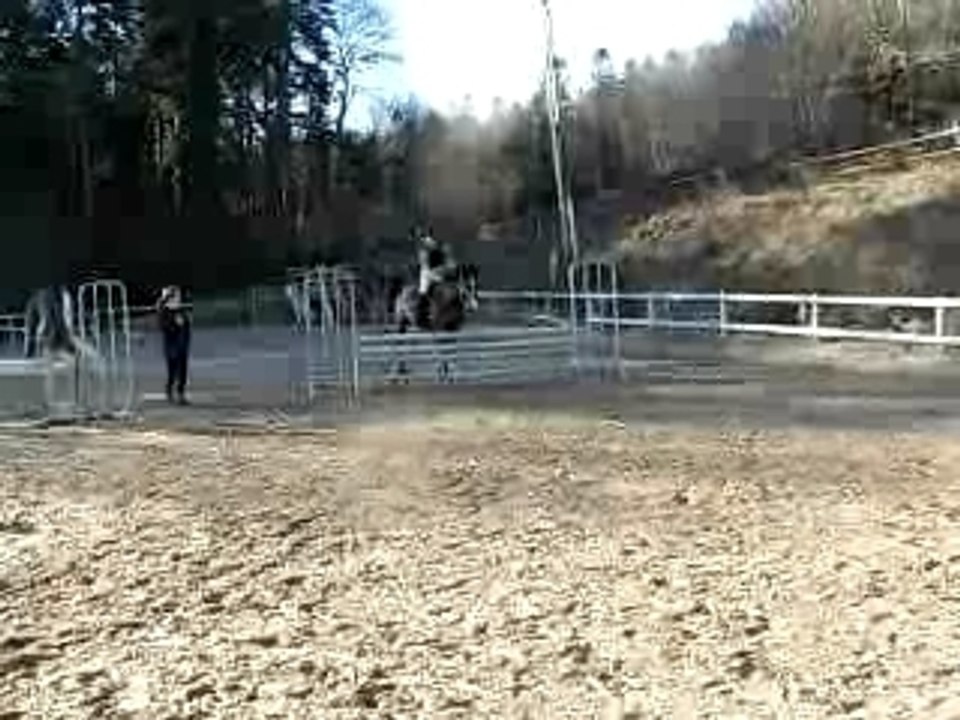 Moi et harriison