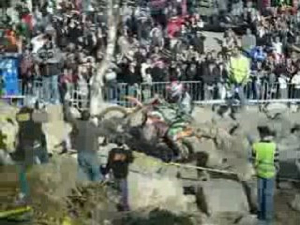 THE RACE 2008