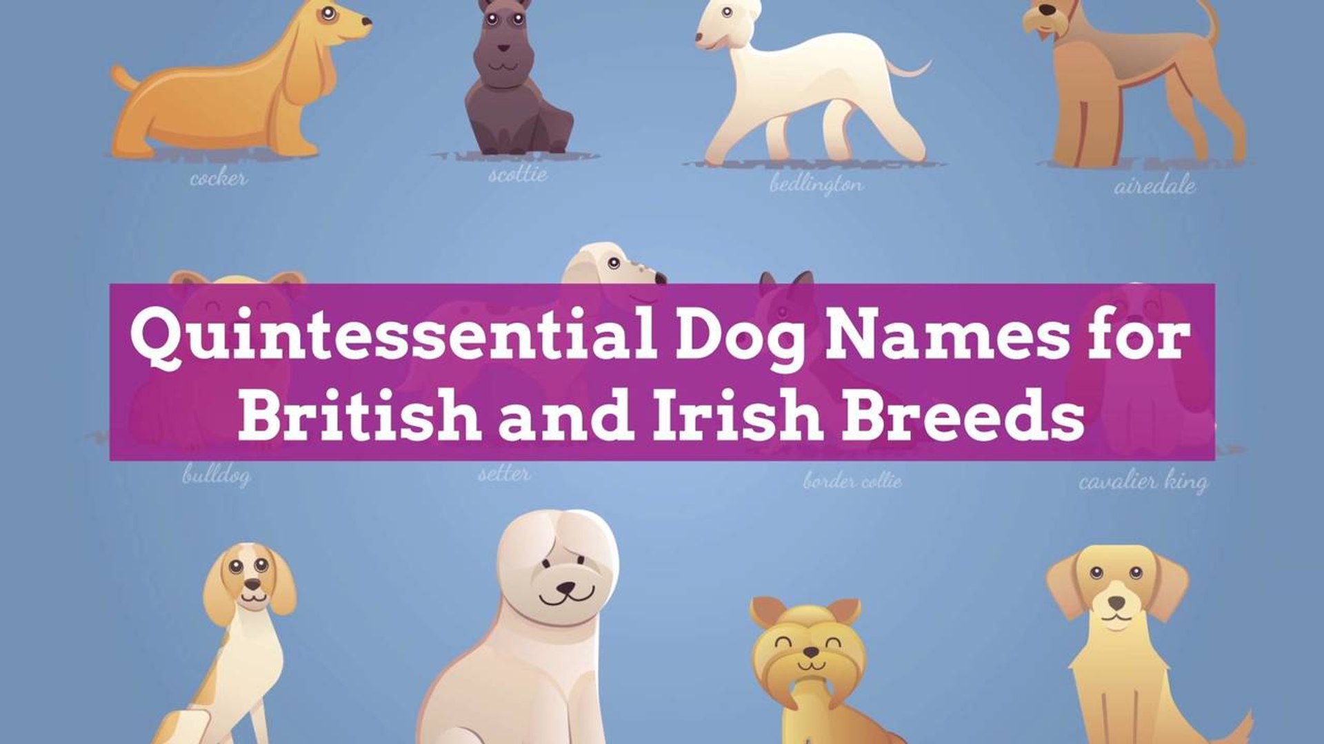 British dog names deals