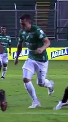 VERTICAL RCN CAL VS ALI_22 FEB OK