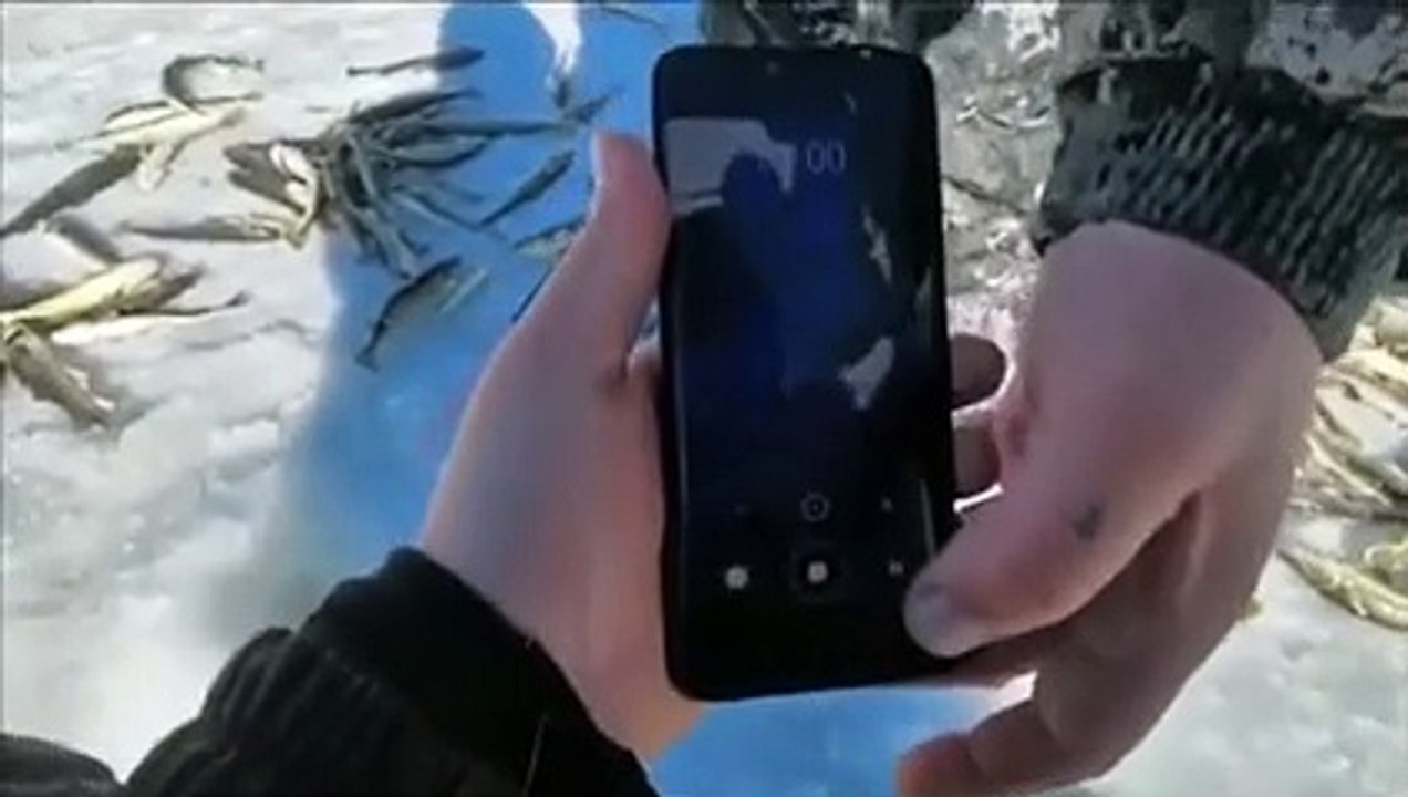 Vérifier s'il y a encore des poissons sous la glace