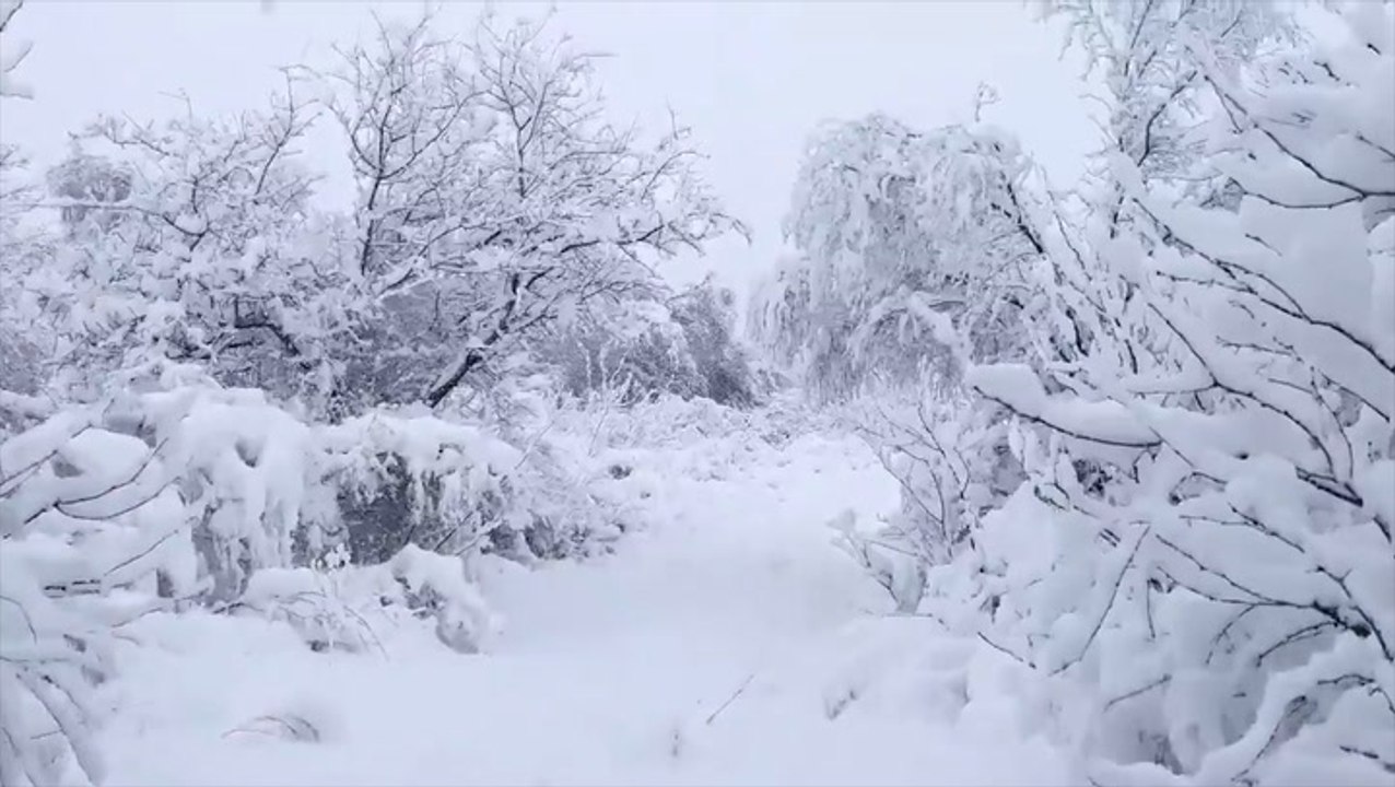 A true winter landscape