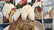 BIGGEST CINNAMON ROLL IN ARIZONA! Giant treat at Prep and Pastry is bigger than your head - ABC15 Digital