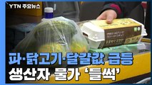 생산자물가 석달째↑...파·닭고기·달걀값 급등 / YTN