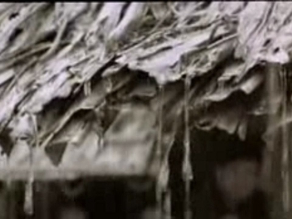 ALHD_1_to_WMV_clip1