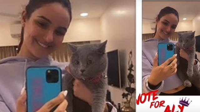 Bigg Boss 14; Aly Goni की कैट Jordan के साथ Jasmin ने मांगा वोट; Jasly फैंस खुश | FilmiBeat