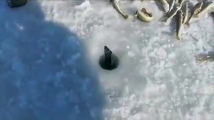 Il plonge son téléphone sous la glace pour vérifier s'il y a des poissons