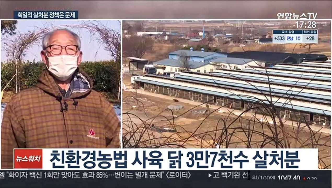 AI 살처분 거부 친환경 양계농장…결국 살처분 집행