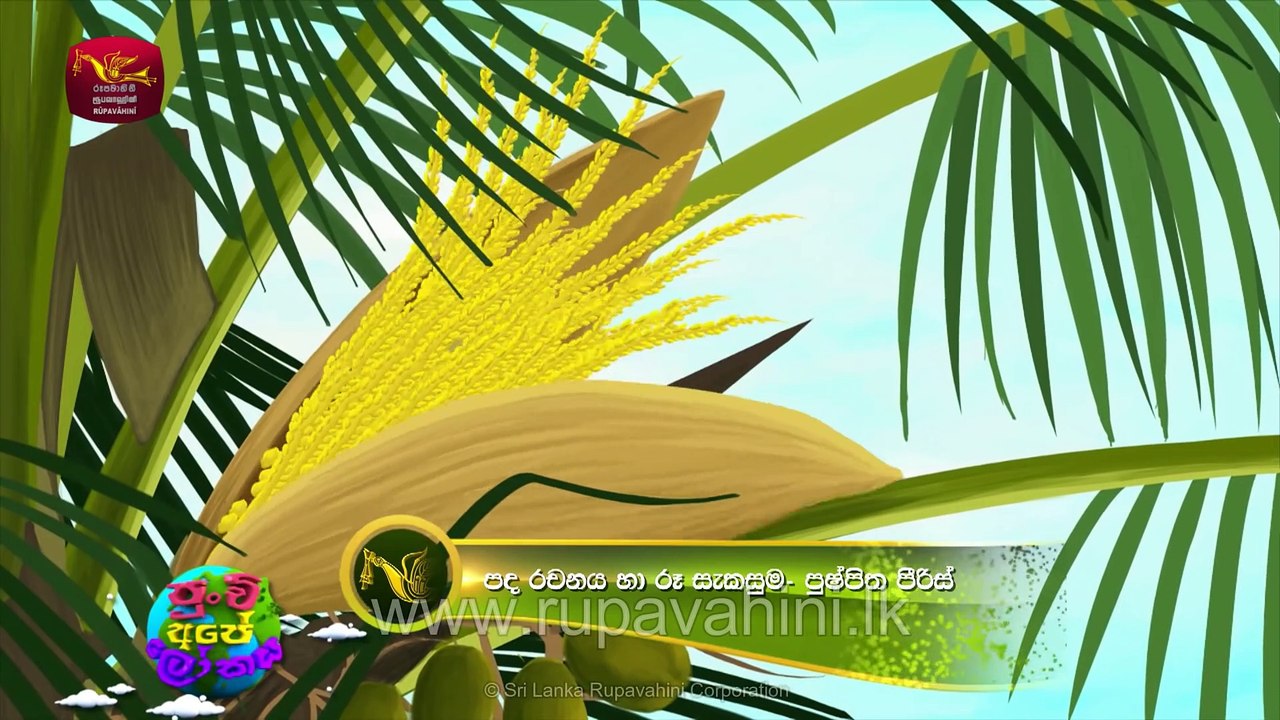 කුරුම්බැට්ටි මැෂිමේ - kurumbatti Machime - sinhala Kids Song