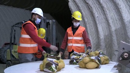 NEVŞEHİR - Laboratuvarda analiz edilen patates pişirme amacına göre paketleniyor
