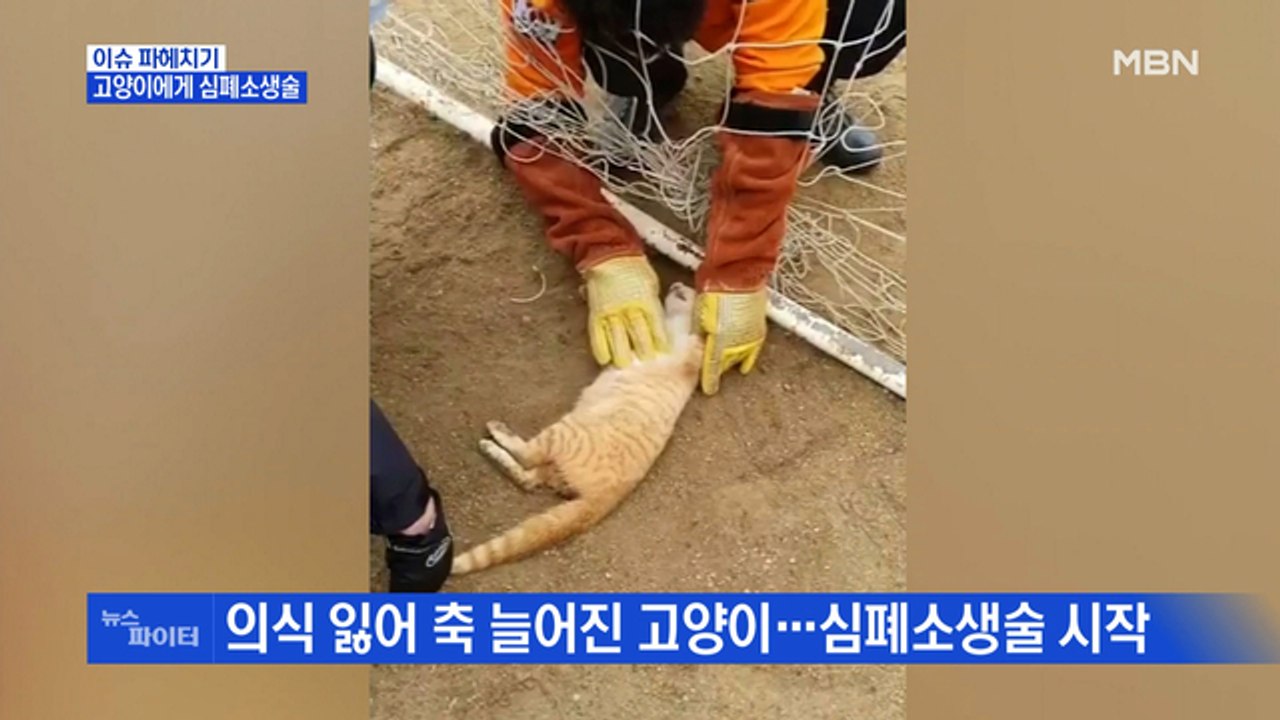 MBN 뉴스파이터-"조금만 더" 의식 잃은 고양이 구조 작전