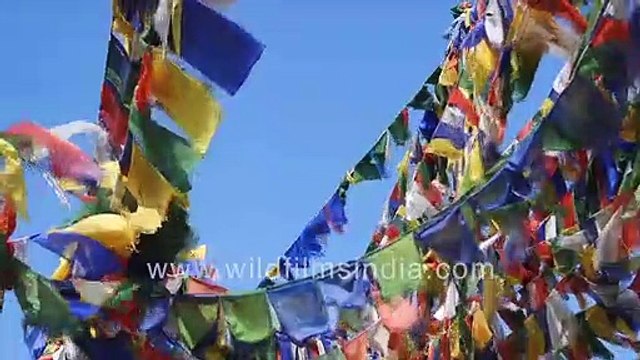 Dalai Hill in Mussoorie - Buddha statue, Shedup Choephelling Temple, Buddhist prayer flags