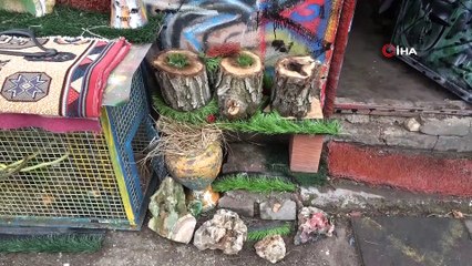 Atık malzemelerle evinin bahçesini dizayn etti, emekliliğin keyfini sürmeye başladı