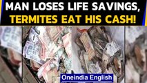 Andhra Pradesh: Man collapses after termites eat worth Rs.5 Lakh of his cash | Oneindia News