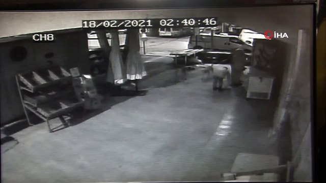 Susayan çocuklar marketin dolabını zorla açarak içecek çaldı