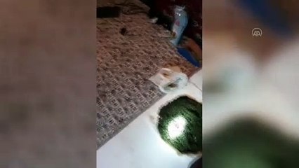 ERZURUM - Uyuşturucu operasyonlarında yakalanan 3 zanlı tutuklandı