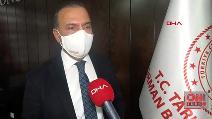 Zeytin ağaçlarını zirai don vurdu