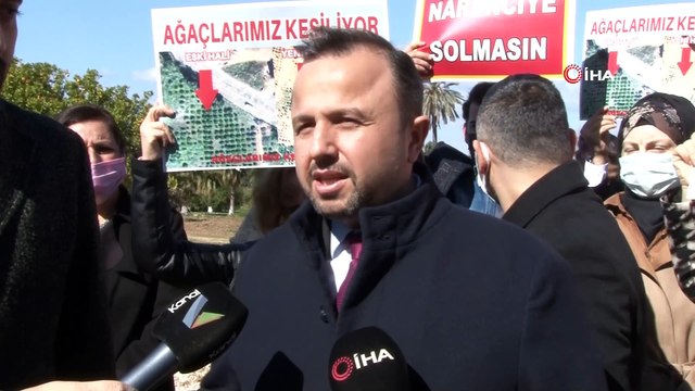 Portakal ağaçlarını kesip çim ektiler, uydu fotoğraflarıyla tespit edildiler