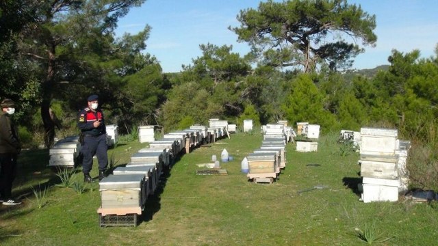 Dedektif gibi iz sürdü, Konya’dan çalınan arılarını Manavgat’a buldu