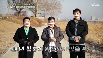 기분 좋은 아침을 위해 신경 써야하는 ◆장 건강◆ TV CHOSUN 20210220 방송