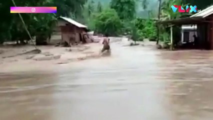 Arus Deras Banjir Bandang Sulawesi Hanyutkan 8 Rumah