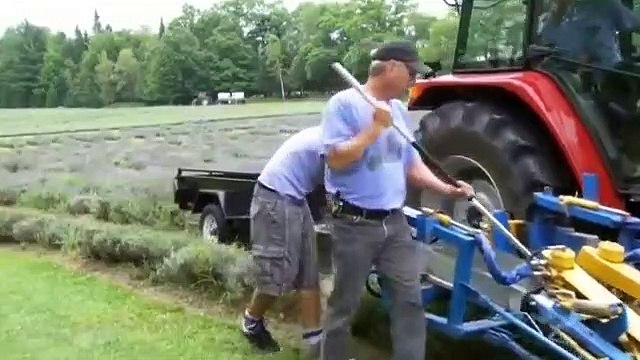 How Its Made - 1048 Lavender