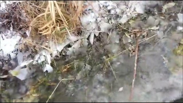 doc first water retrieve trimmed