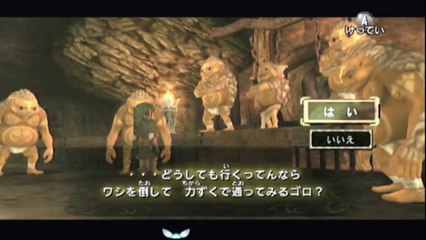 ゼルダの伝説トワイライトプリンセス　ドンコローネとの会話