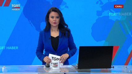 Hindistan'da Sis Hayatı Felç Etti