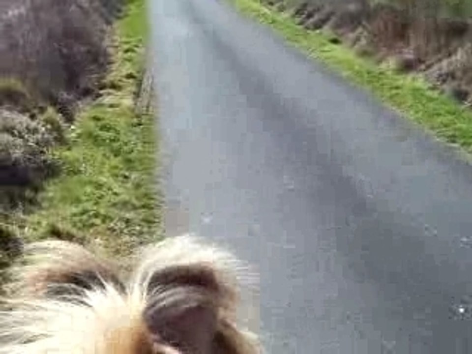 Pilou débu balade narcos