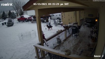 Woman Surprised by Strange Ring of Smoke in the Sky