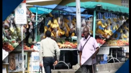 4 - Proposed THA amendment bill [2 of 2]