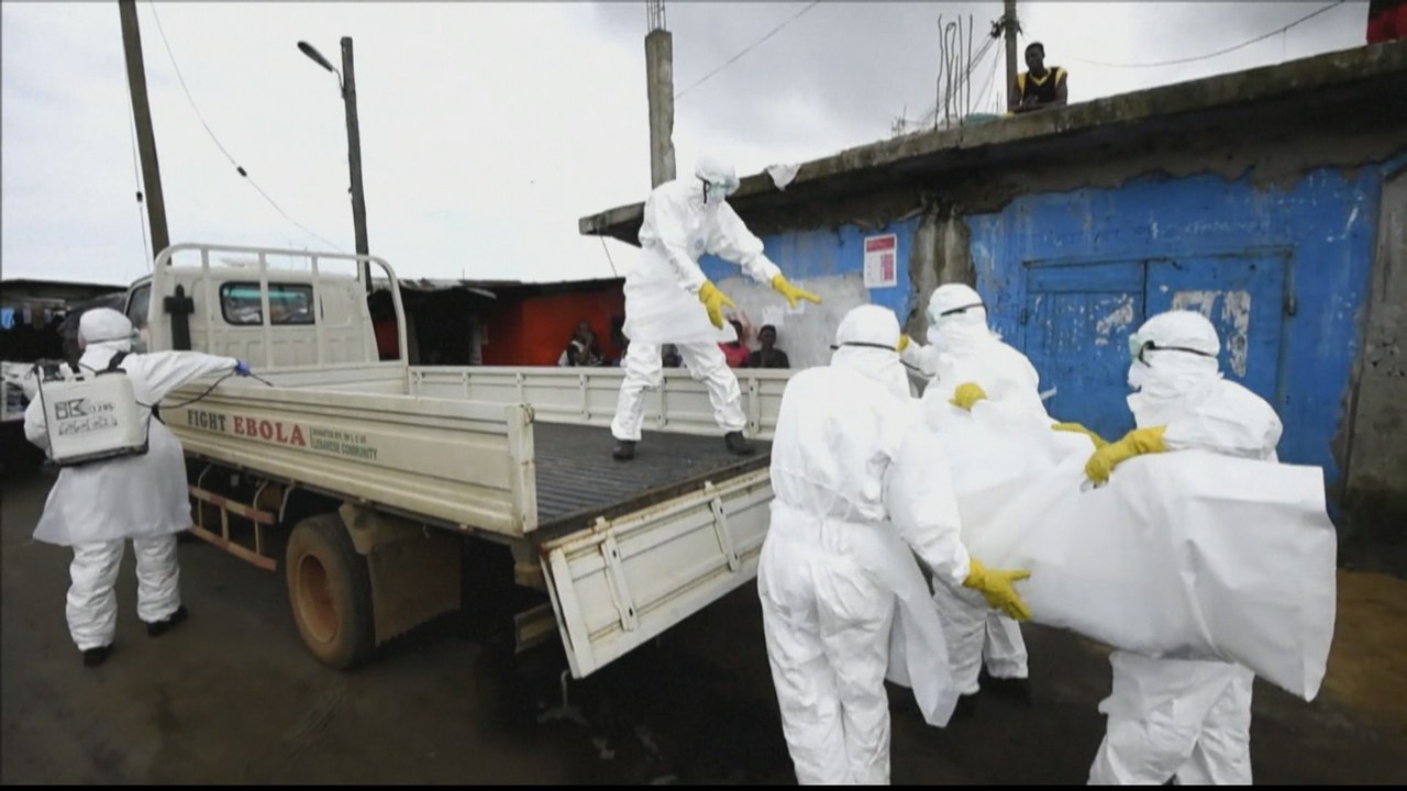 WHO to send over 11,000 Ebola vaccines to Guinea amid outbreak