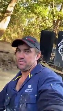 Un Australien se balade avec des crocodiles