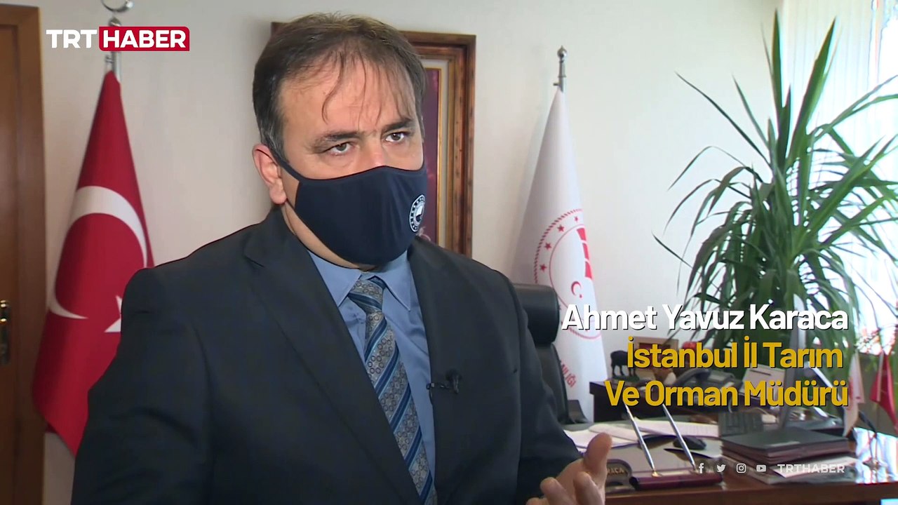Hayalet ağlar temizleniyor