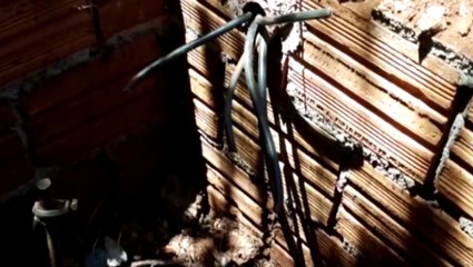 Ladrão é flagrado furtando grande quantidade de fios em escola municipal de Cascavel
