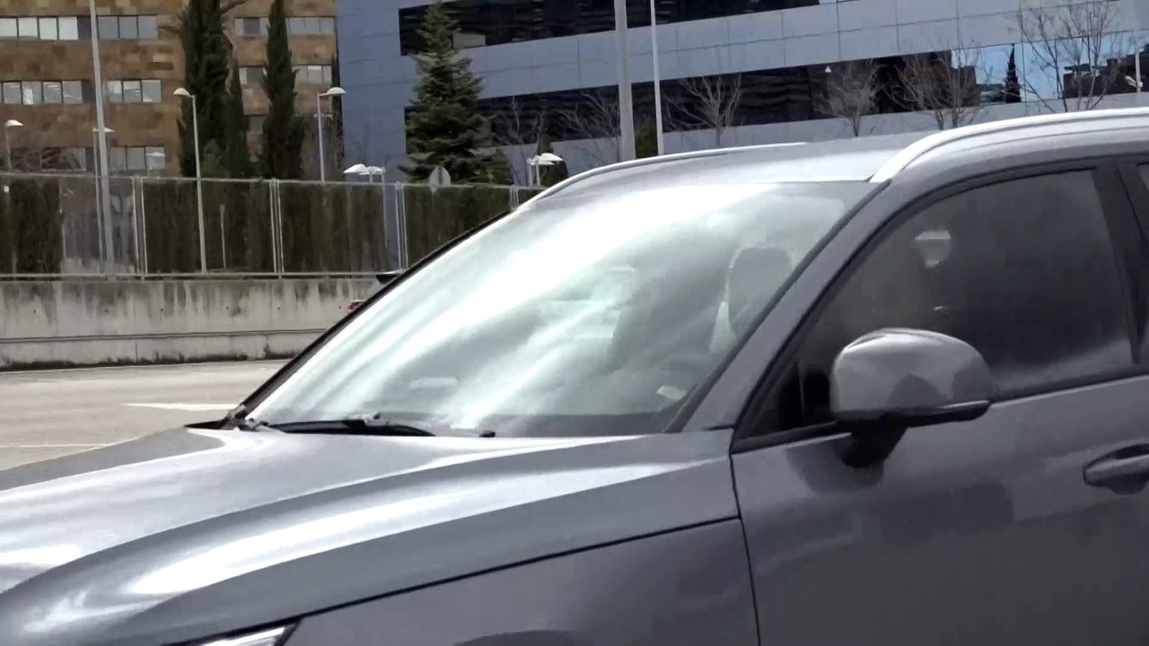 La reacción de Alessandro Lequio ante la importante petición de Ana Obregón