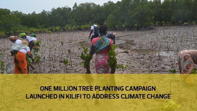 One million tree planting campaign launched in Kilifi to address climate change