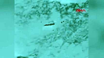 Mültecileri taşıyan teknenin alabora olduğu an kamerada