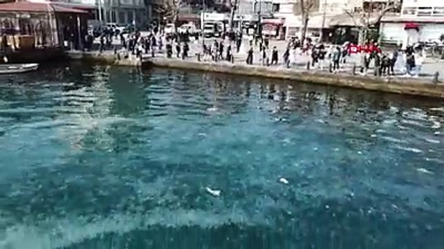 Şoke eden görüntü! İstanbul Boğazı’nda denizanası istilası…